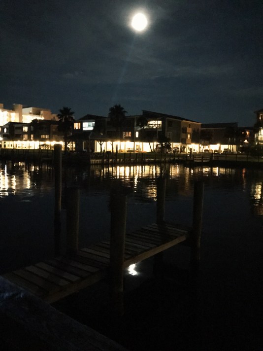 Processed with VSCO with g3 preset